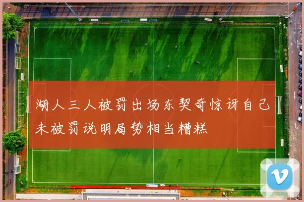 湖人三人被罚出场东契奇惊讶自己未被罚说明局势相当糟糕