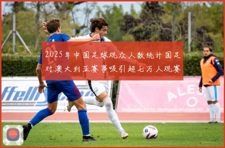 2025年中国足球观众人数统计国足对澳大利亚赛事吸引超七万人观赛