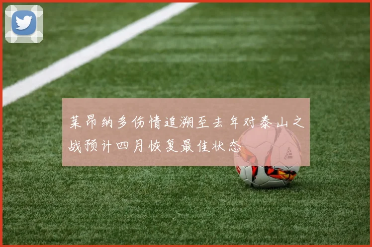 莱昂纳多伤情追溯至去年对泰山之战预计四月恢复最佳状态