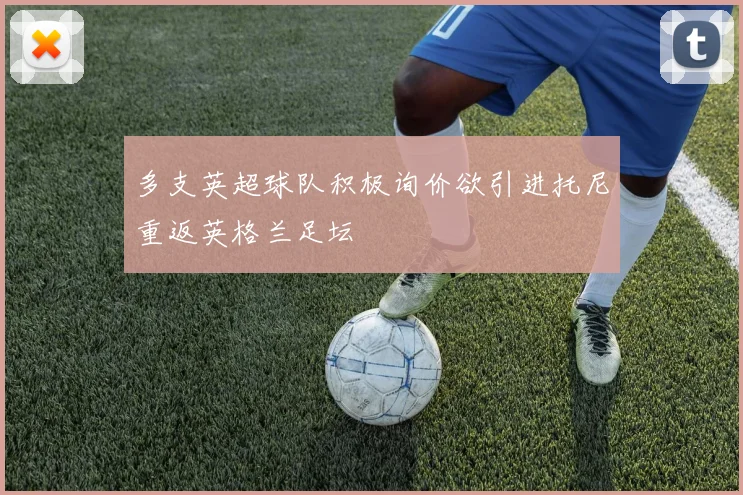多支英超球队积极询价欲引进托尼重返英格兰足坛