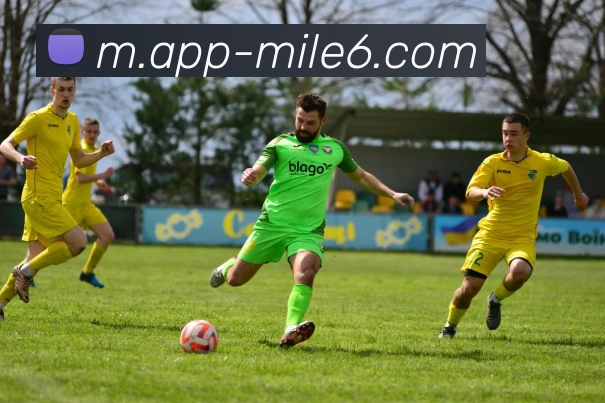 米乐体育APP 体育赛事宣传图